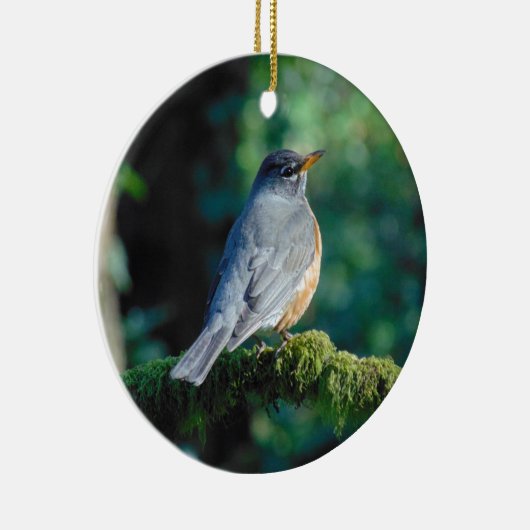 Amerikaner Robin Keramik Ornament (Rechts)