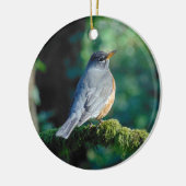 Amerikaner Robin Keramik Ornament (Links)