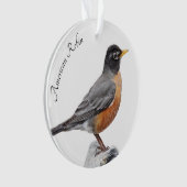 Amerikaner Robin Ornament (Vorderseite)