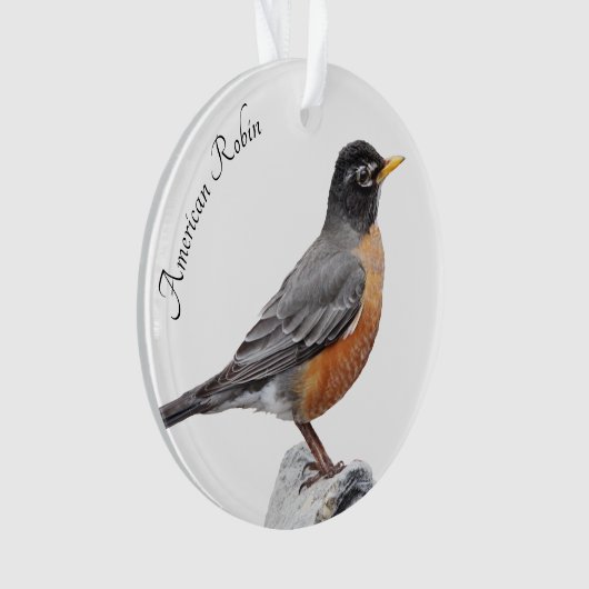Amerikaner Robin Ornament (Vorderseite)