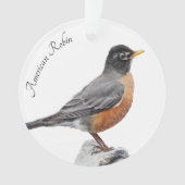 Amerikaner Robin Ornament (Vorderseite)