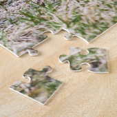 Amerikaner Robin Puzzle (Seite)