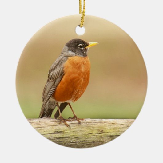 Amerikaner Robin stehend Keramik Ornament (Vorne)