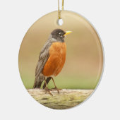 Amerikaner Robin stehend Keramik Ornament (Links)