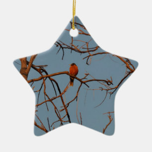 Amerikaner-Robin-Zuhause roost Keramik Ornament