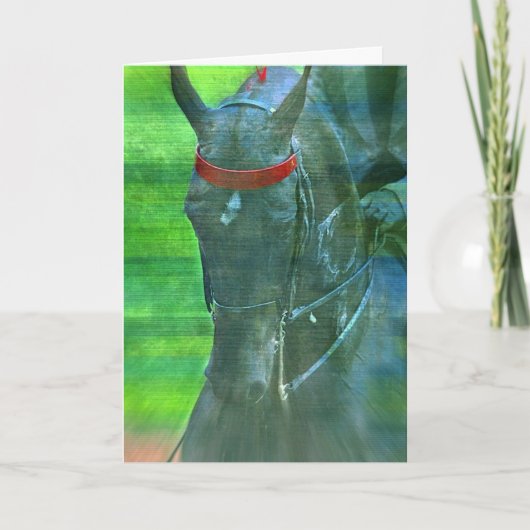 Amerikaner Saddlebred, Geburtstag Karte (Vorderseite)