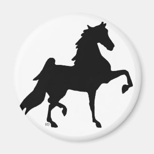 Amerikaner Saddlebred Pferd Magnet