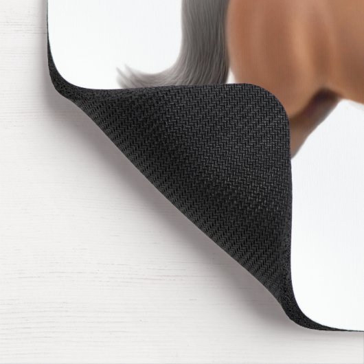 Amerikaner Saddlebred Pferd Mousepad (Ecke)