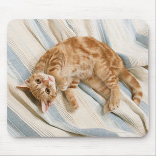 Amerikaner Shorthair 8 Mousepad