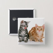 Amerikaner Shorthair Button (Vorne & Hinten)