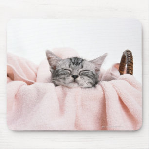 Amerikaner Shorthair Katze Mousepad