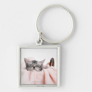 Amerikaner Shorthair Katze Schlüsselanhänger