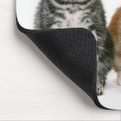 Amerikaner Shorthair Mousepad (Ecke)