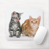 Amerikaner Shorthair Mousepad (Mit Mouse)