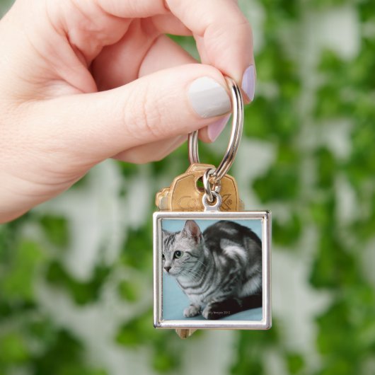 Amerikaner Shorthair Schlüsselanhänger (Hand)