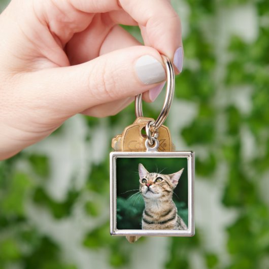 Amerikaner Shorthair Schlüsselanhänger (Hand)