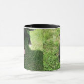 Amerikaner Stier Terrior Tasse (Zentrum)