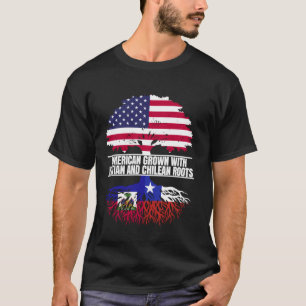 Amerikanisch angebaut mit Flaggen-Herkunft Haitian T-Shirt
