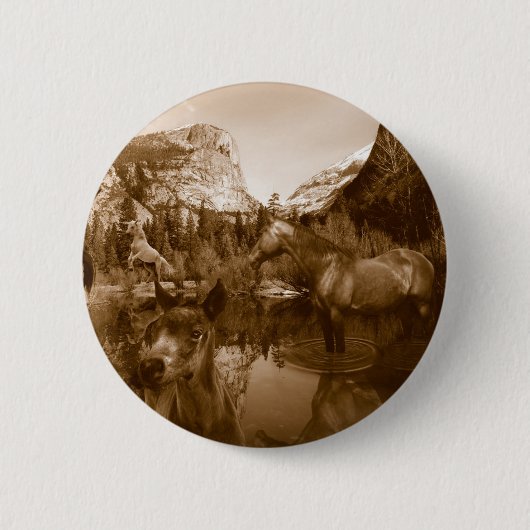 amerikanisch button (Vorderseite)