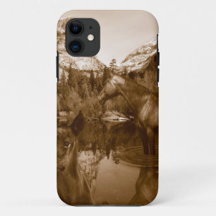 amerikanisch iPhone 11 hülle