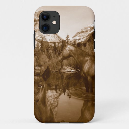 amerikanisch Case-Mate iPhone hülle (Rückseite)
