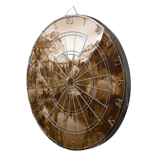 amerikanisch dartscheibe (Vorderseite rechts)