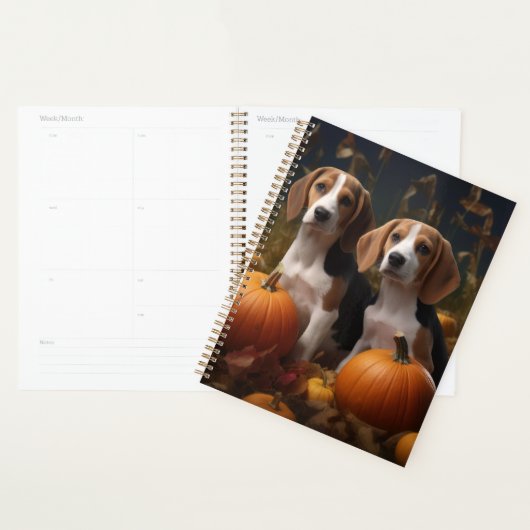 Amerikanisch-englischer Foxhound Welpen Herbst Fre Planer (Anzeige)