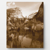 amerikanisch fotoplatte (Vorderseite)