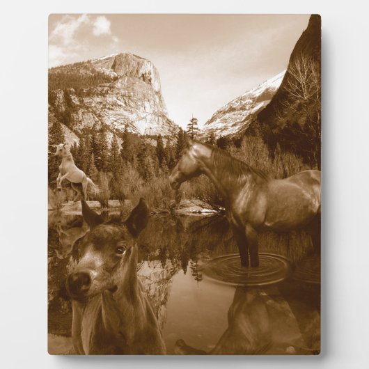 amerikanisch fotoplatte (Vorderseite)