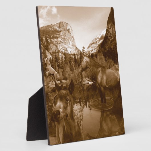 amerikanisch fotoplatte (Seite)