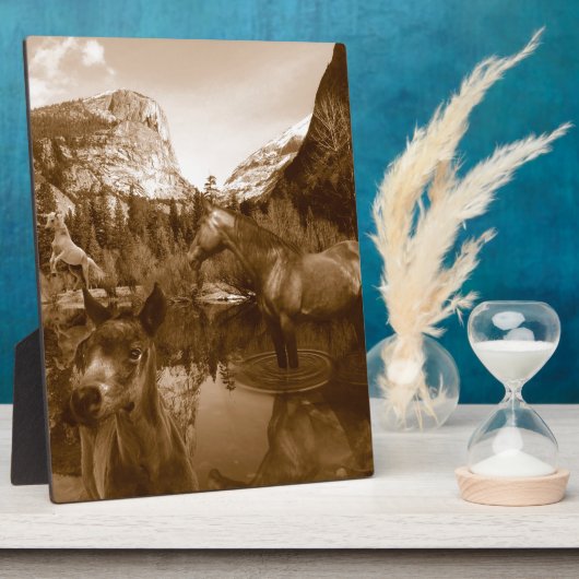 amerikanisch fotoplatte (Seite)