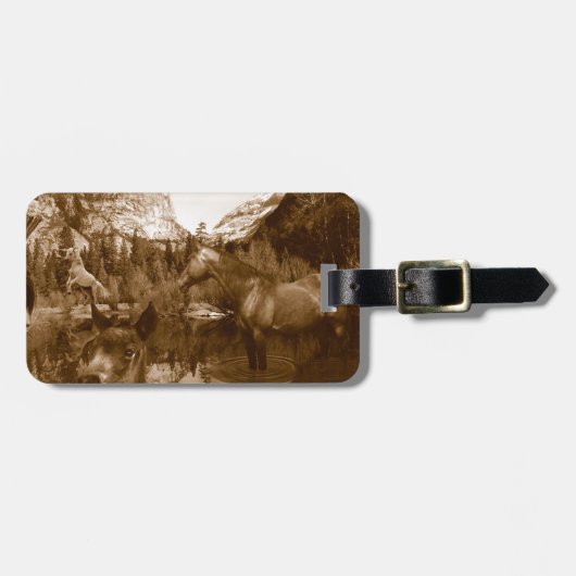 amerikanisch gepäckanhänger (Vorderseite horizontal)