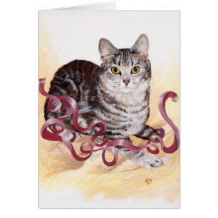 Amerikanisch Kurzhaar-Tabby-Katze