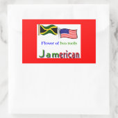 amerikanisch rechteckiger aufkleber (Tasche)