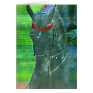 Amerikanisch Saddlebred