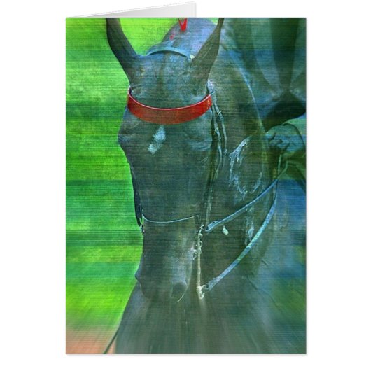 Amerikanisch Saddlebred (Vorne)