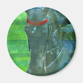 Amerikanisch Saddlebred Magnet