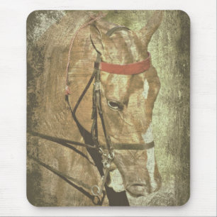 Amerikanisch Saddlebred Mousepad