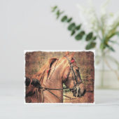 Amerikanisch Saddlebred Postkarte (Stehend Vorderseite)