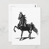 Amerikanisch Saddlebred Postkarte (Vorne/Hinten)