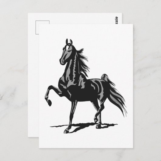 Amerikanisch Saddlebred Postkarte (Vorne/Hinten)