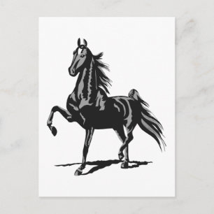Amerikanisch Saddlebred Postkarte