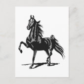 Amerikanisch Saddlebred Postkarte (Vorderseite)