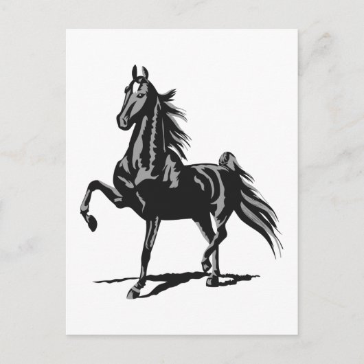Amerikanisch Saddlebred Postkarte (Vorderseite)
