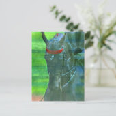 Amerikanisch Saddlebred Postkarte (Stehend Vorderseite)