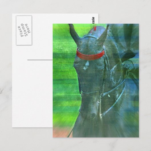 Amerikanisch Saddlebred Postkarte (Vorne/Hinten)
