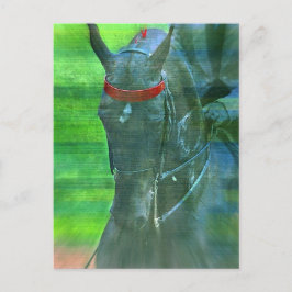 Amerikanisch Saddlebred Postkarte