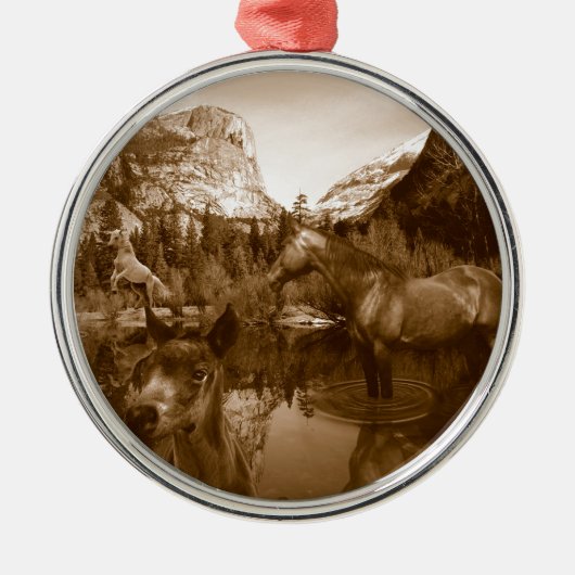 amerikanisch silbernes ornament (Vorne)