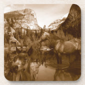 amerikanisch untersetzer (Vorderseite)