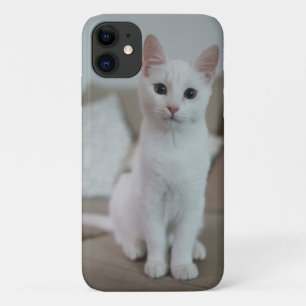 Amerikanisch Weiß Kurzhaar Katze Case-Mate iPhone Hülle